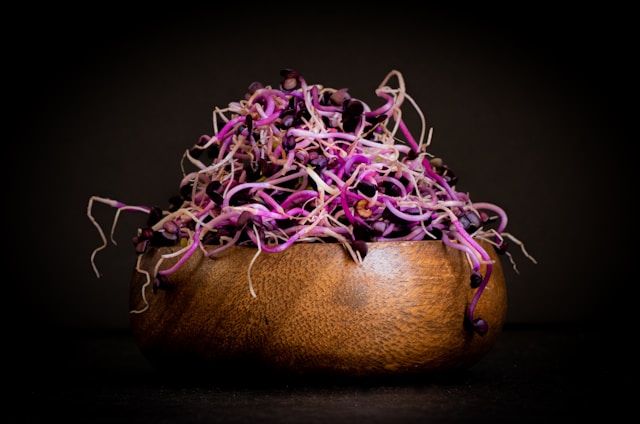 Articol Meltravalion